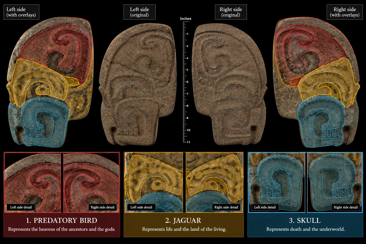 The hacha's left and right sides with colored overlays marking a predatory bird in red, a jaguar in yellow, and a skull in blue.