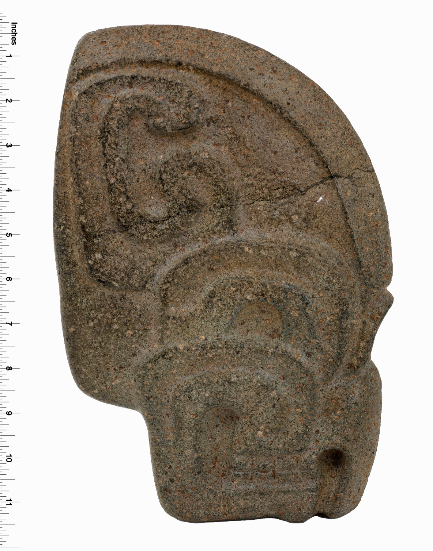 A carved stone hacha from the Maya, shown from the front. Its shapes can look like a skull, a bird of prey, or a jaguar.